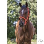 NORTON "Fluo" bélelt kötőfék