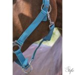 NORTON "Fluo" bélelt kötőfék