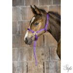 NORTON csikó kötőfék vezetőszárral