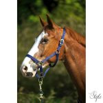 NORTON dupla vastagságú nylon kötőfék csatokkal