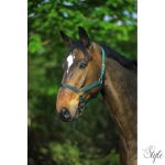 NORTON dupla vastagságú nylon kötőfék csatokkal