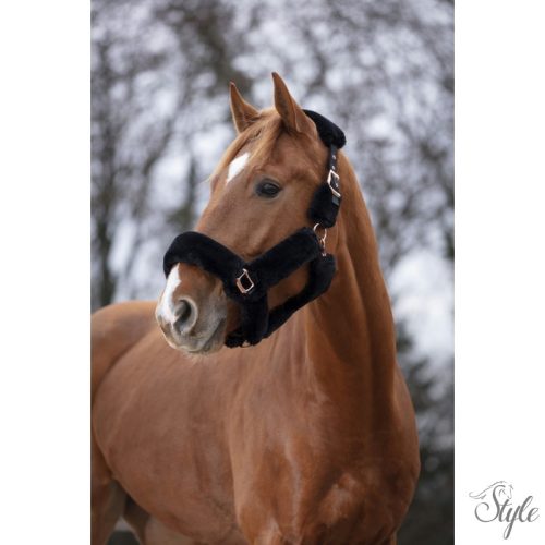 EQUITHÈME "Teddy pink gold" kötőfék