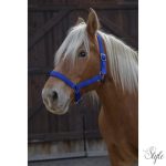 NORTON PRO kötőfék hidegvérű lovak számára