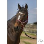 NORTON "Nylon Soft" kötőfék