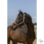 NORTON "Nylon Soft" kötőfék