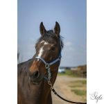 NORTON "Nylon Soft" kötőfék