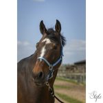 NORTON "Nylon Soft" kötőfék