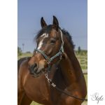 NORTON "Grooming" kötőfék