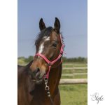 NORTON "Grooming" kötőfék