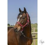 NORTON "Grooming" kötőfék