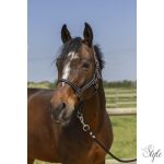 NORTON "Grooming" kötőfék