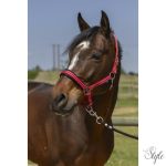 NORTON "4lines" kötőfék