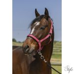 NORTON "4lines" kötőfék