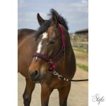 EQUITHÈME "Nylon Strass" kötőfék