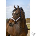 EQUITHÈME "Nylon Check" kötőfék