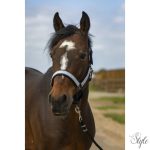 EQUITHÈME "Nylon Check" kötőfék