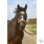 EQUITHÈME "Nylon Check" kötőfék