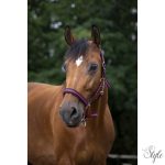 NORTON nejlon kötőfék neoprén béléssel