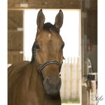 NORTON "Reflective" kötőfék