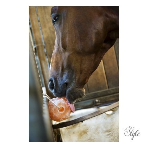 HIPPO-TONIC Himalaya só (1,5 kg)