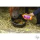 EQUINATURA légzéskönnyítő gyógynövényes szirup