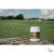 RAVENE biotin Biodyne 1 kg