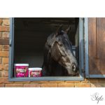 NAF GASTRI AID takarmány kiegészítő