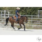 WESTRIDE western nyereg Aurora by Franck Perret