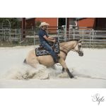WESTRIDE western nyereg Arvada by Franck Perret