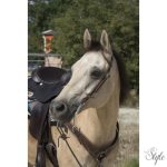 WESTRIDE egyfüles western kantár Oreille by Franck Perret
