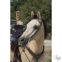 WESTRIDE egyfüles western kantár Oreille by Franck Perret