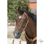 WESTRIDE egyfüles western kantár Oreille by Franck Perret