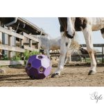 HIPPOTONIC Lassú Etető Labda Széna számára