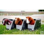 PONY ACADEMY Mini Pony istállóvá alakítható kamionnal – Jumpy