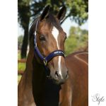 BACK ON TRACK® – Werano kötőfék