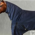 Equityum Amaya nyakas karámtakaró - 350 g