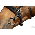 HKM Kapicán – Comfort