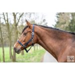 HKM Classic kötőfék