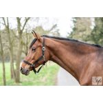 HKM Classic kötőfék