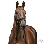 HKM Kopenhagen kantár