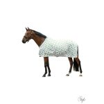 HKM Légytakaró -Naples-