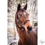 HKM Neon Flash kötőfék