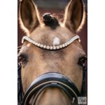 HKM Limone Elegant kantár