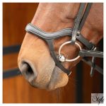 HARRYS HORSE Anatomic kantár