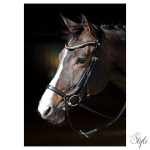 HARRYS HORSE Anatomic Rosegold kantár