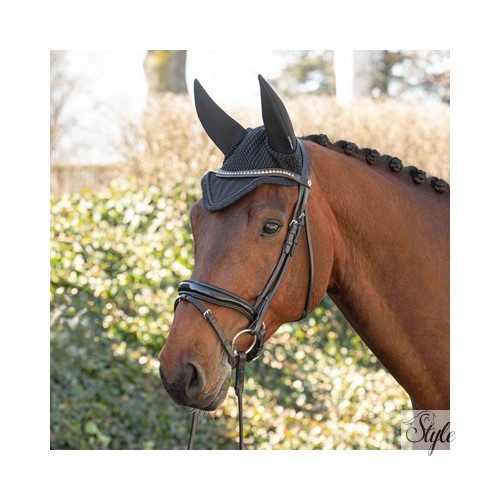 HARRYS HORSE Lacque körvarrott kantár