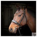 HARRYS HORSE Liberty Soft kantár