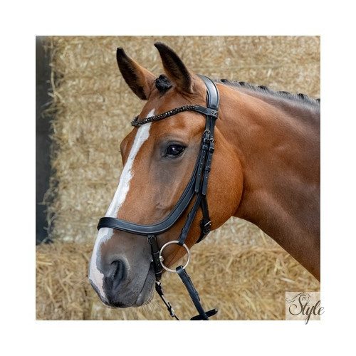 HARRYS HORSE Kantár – Anatomic Black Crystal