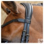 HARRYS HORSE Kantár – Anatomic Black Crystal