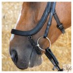HARRYS HORSE Kantár – Anatomic Black Crystal